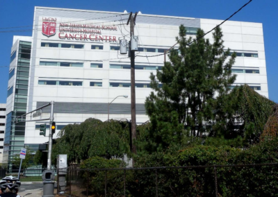University of Medicine and Dentistry
